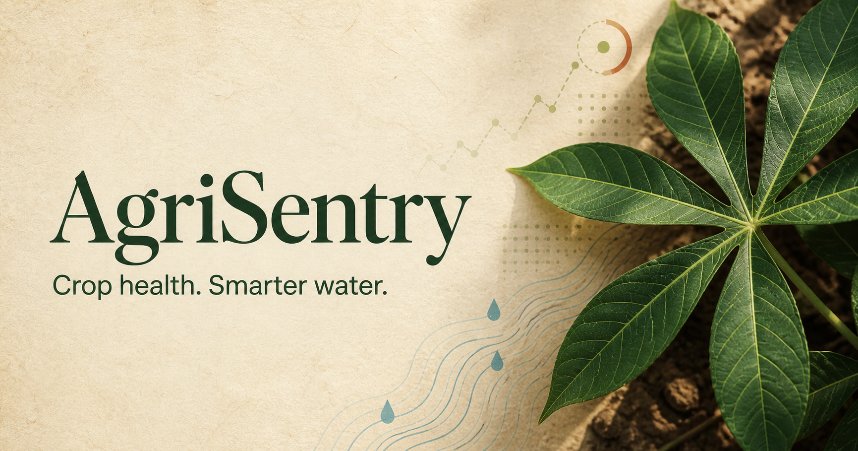Healthy cassava leaf beside irrigation and climate-data motifs for AgriSentry